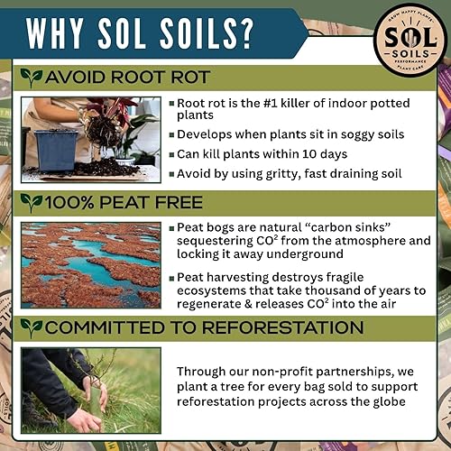 Miniatura 6 de Perlita gruesa - 2 cuartos