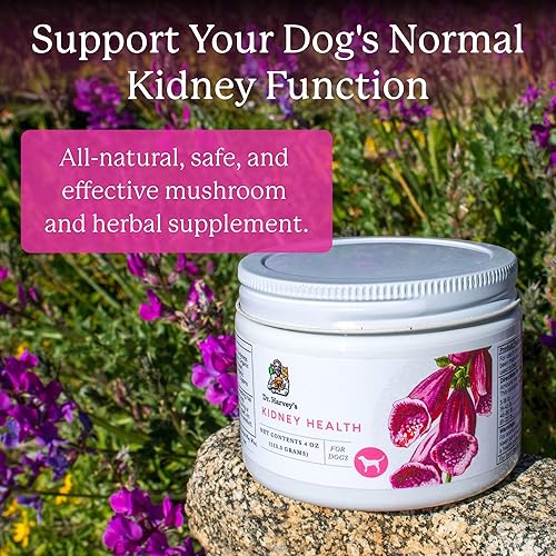 Miniatura 2 de Dr. Harvey's Suplemento de apoyo renal para perros (4 onzas)