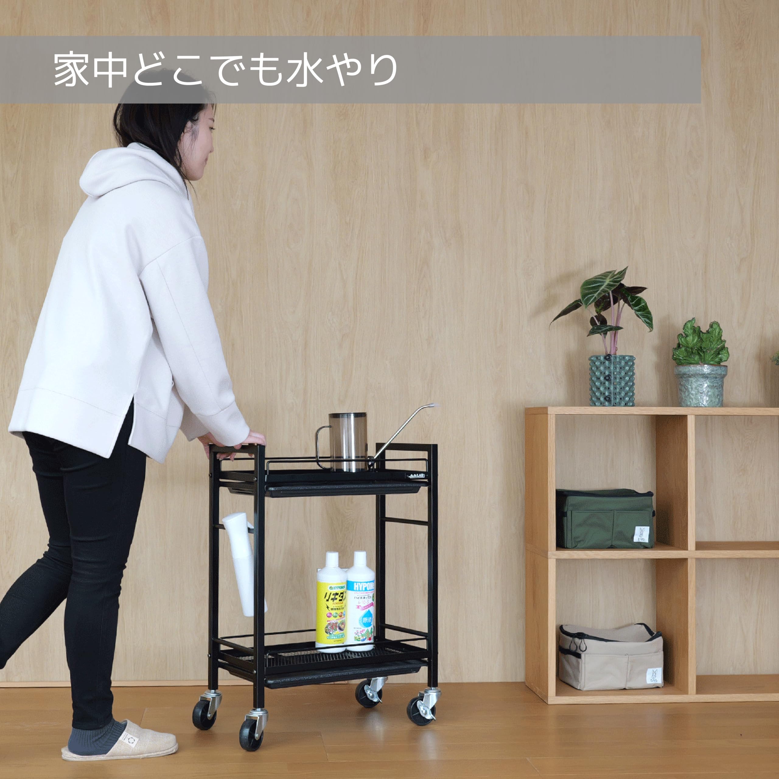 BIBILAB(ビビラボ) : ビビラボ キャビネット 観葉植物 ビザール