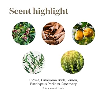 Young Living Young Thieves 15ml 5本セット Thieves 15ml Young Living Essential Oils Blend Support