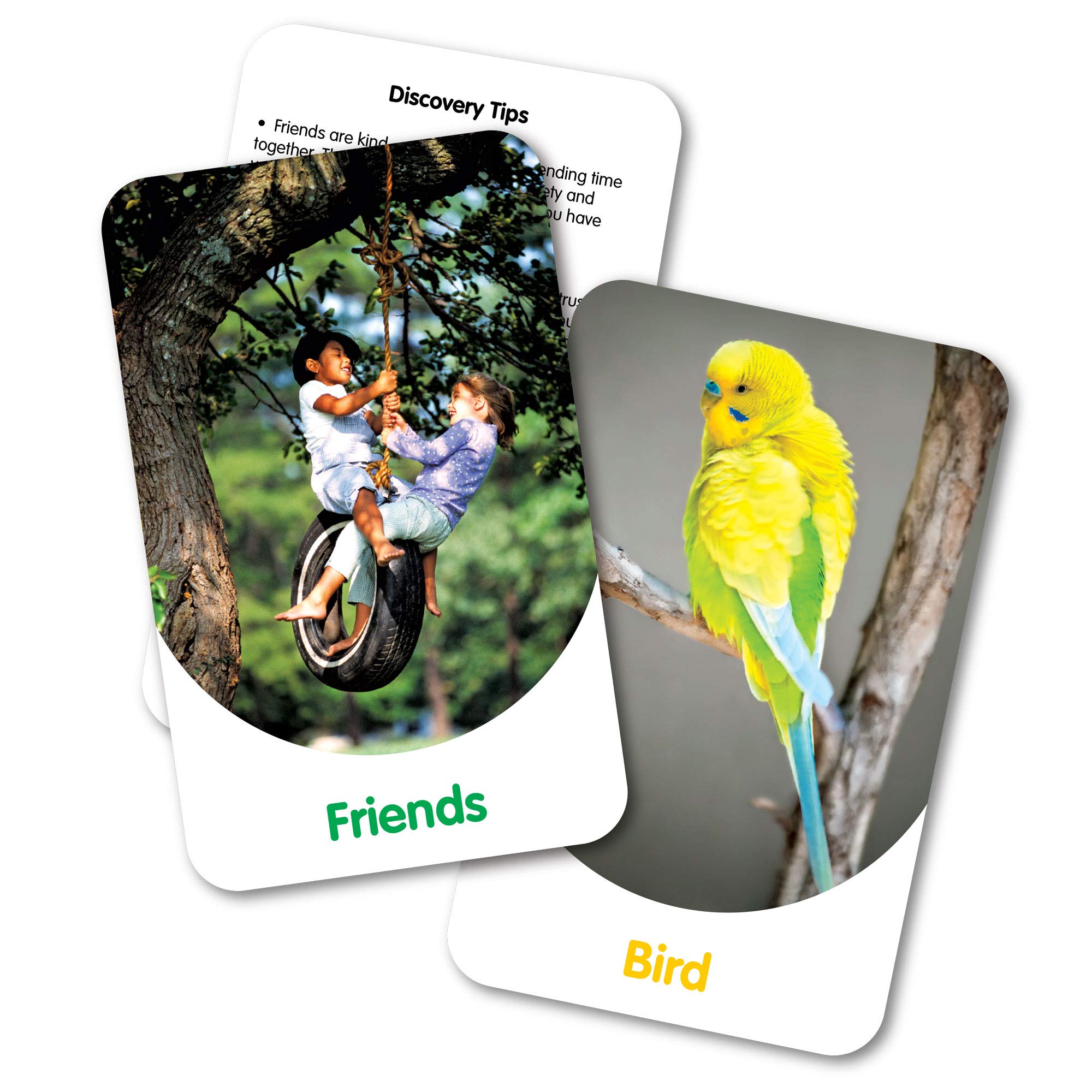 The Learning Journey - Discovery Cards - In & Around