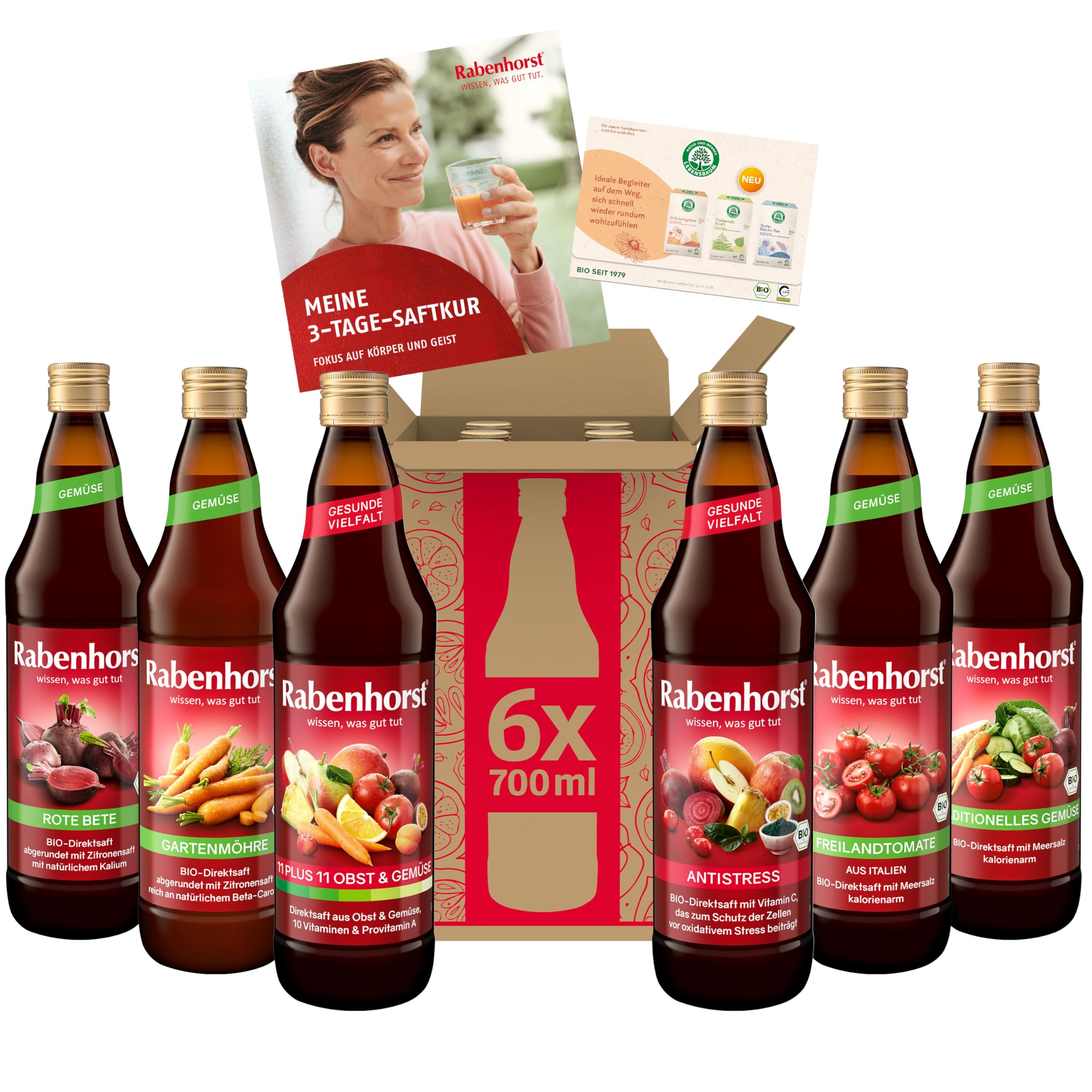 RABENHORST Saftpaket "3-Tage-Saftkur" (6 x 700 ml) | 6 verschiedene Gemüse- & Mehrfruchtgemüsesäfte aus hochwertigen Direktsäften zum Saftfasten - inklusive Kur-Broschüre