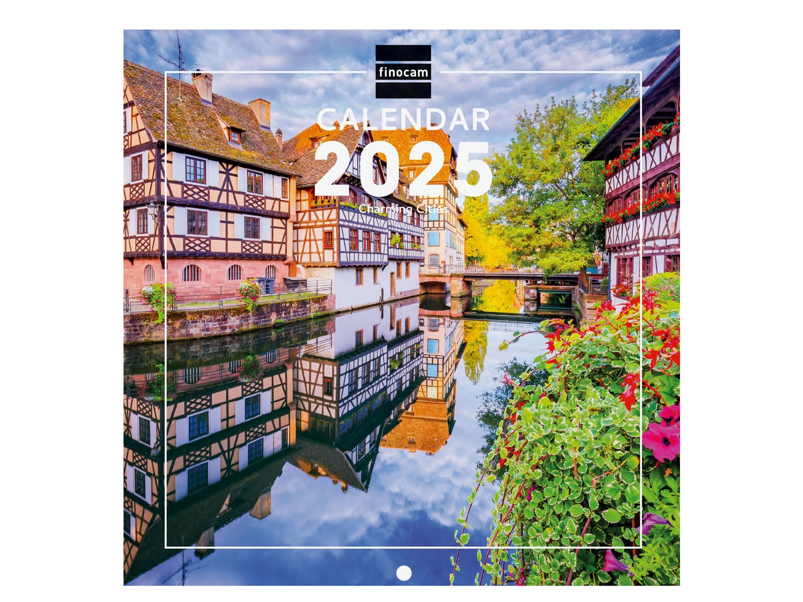 Finocam â€“ International 2025 Desktop Photo Calendar Month View January 2025 â€“ December 2025 (12 Months) Cats International