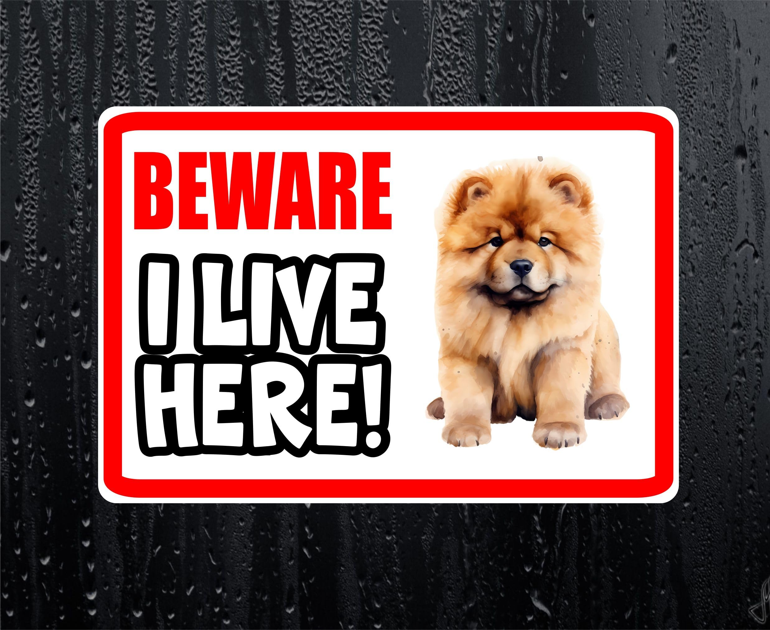 Decalarama White Chow Chow Sticker Beware I Live Here House Home Window Door Porch Printed Decal