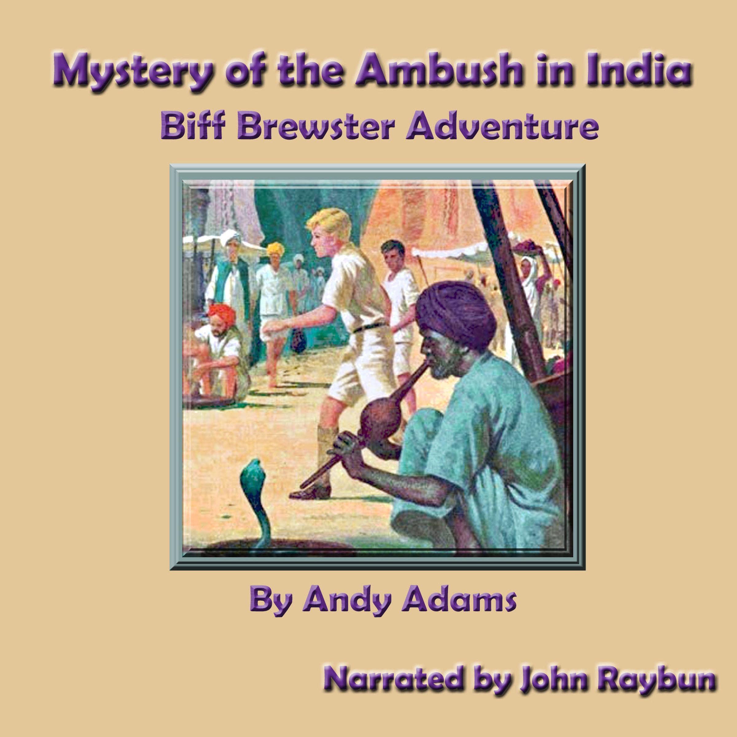 Cover art for Mystery of the Ambush in India