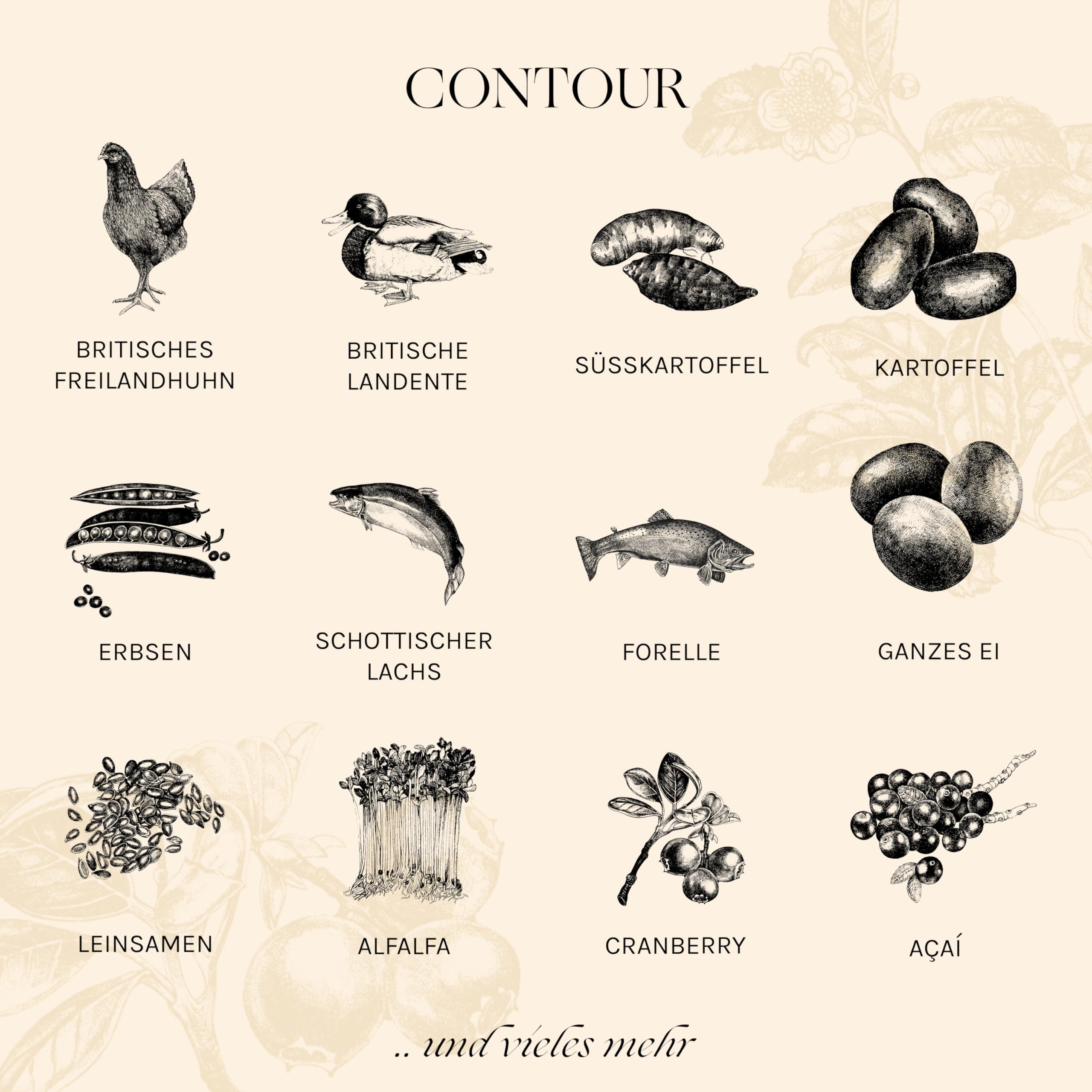 Essential Contour 10 kg | Huhn, Ente, Lachs & Forelle | Getreidefrei Hundefutter für große kastrierte oder zu Übergewicht neigende Hunde | hoher Fleischanteil | nach dem BOF-Prinzip