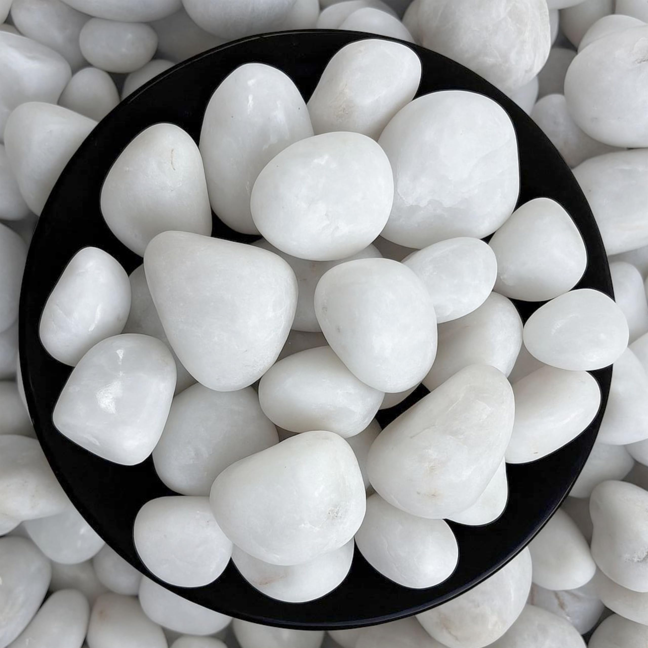 Foodie Puppies Polished White Pebbles Glossy Stones - 2Kg (2.5cm - 4cm) | for Home Decorative, Vase Fillers, Aquarium Fish Tank, Garden River Rock Unplanted Substrate