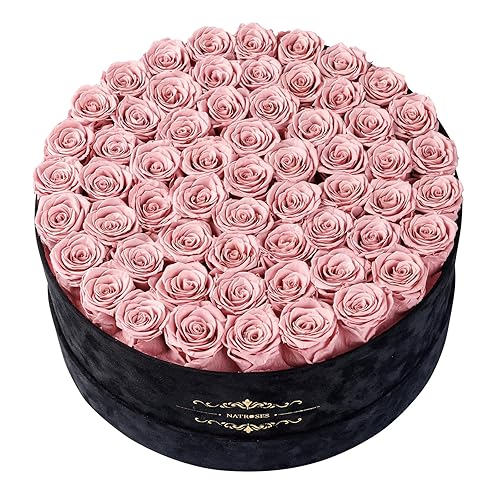 Gifts for Women – NATROSES 60 Preserved Roses in Luxury