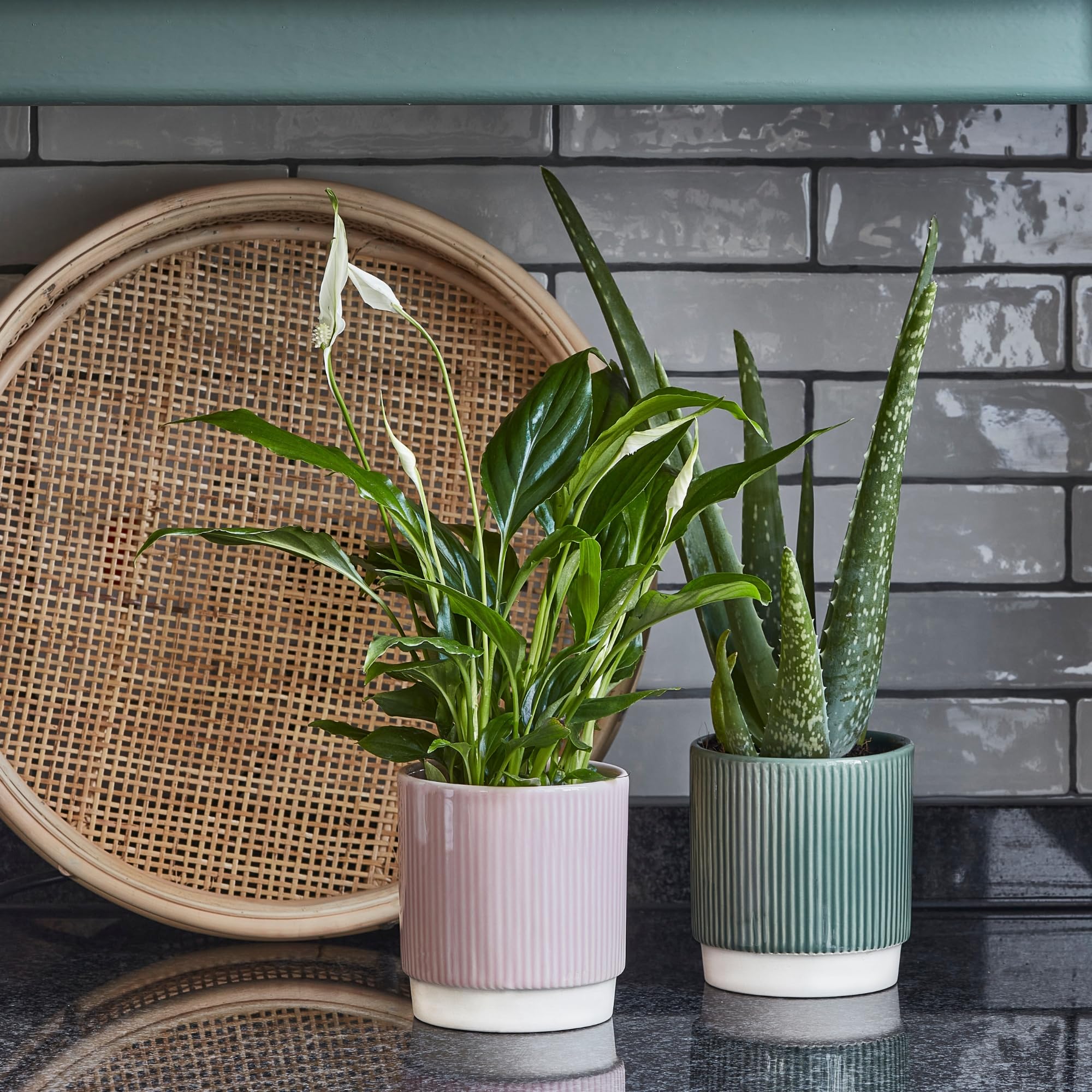 Ivyline Blumentopf Aus Keramik – Cement Optik, Wasserdicht, 13.5 Cm, Perfekt Für Zimmerpflanzen