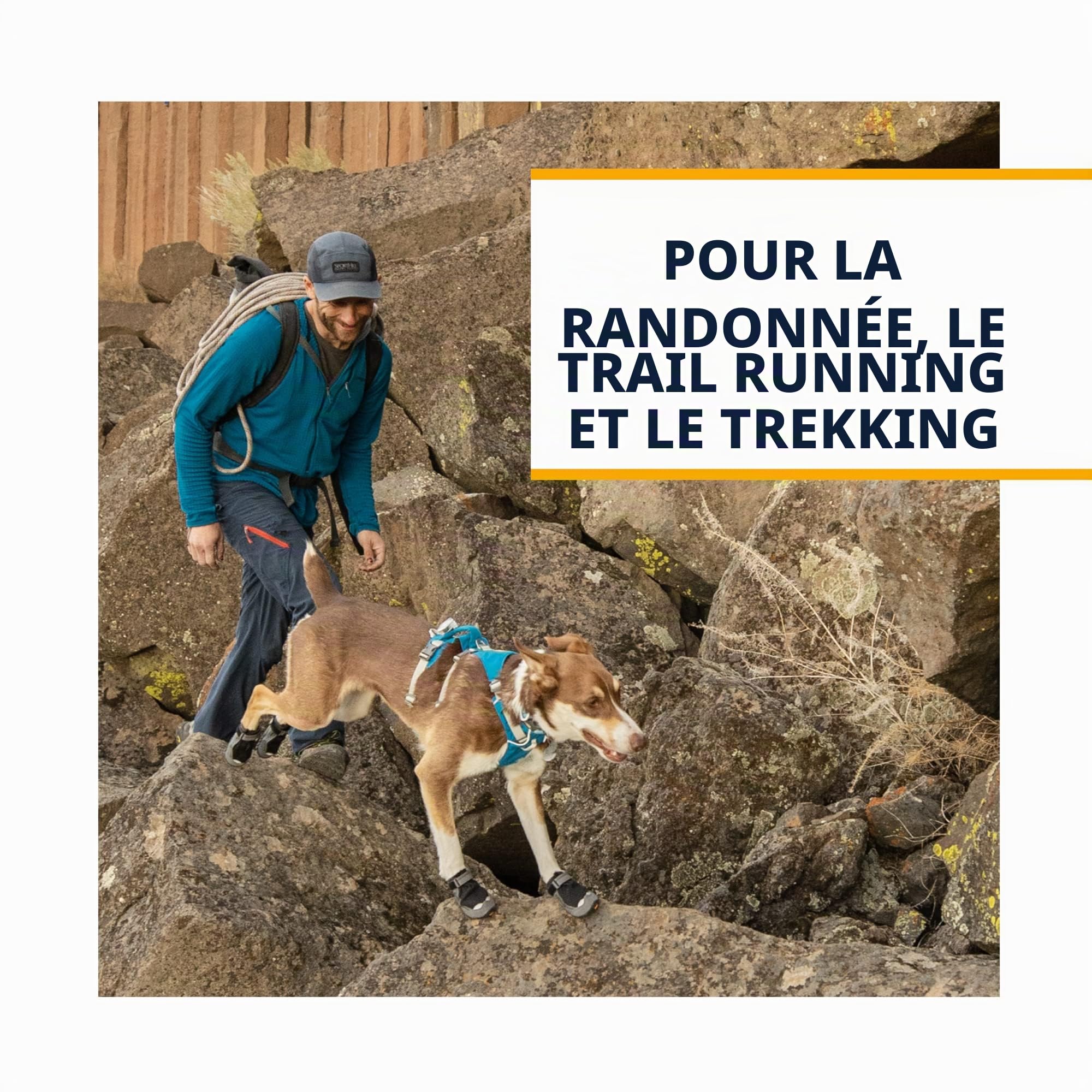 Grip Trex - Chaussures pour Chien