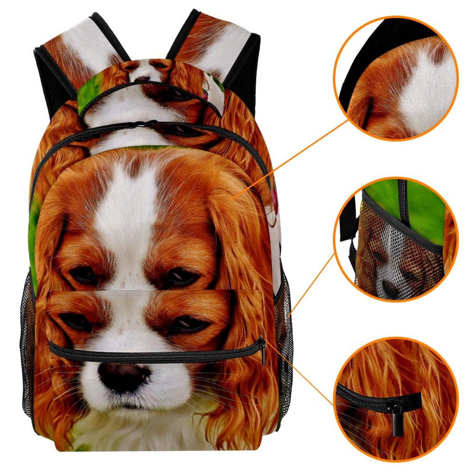 Zaino scolastico per uomini e donne, grazioso zaino da viaggio per laptop con cane a pelo lungo, leggero, zaino casual per libri