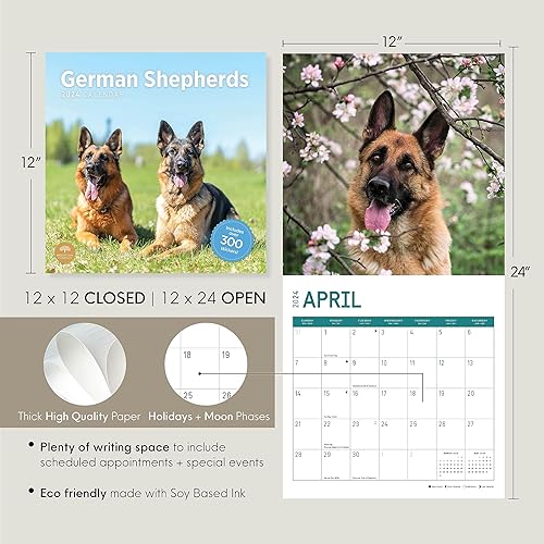 Miniatura 3 de Bright Day - Calendario mensual de pared 2024 de pastores alemanes, 12 x 12 pulgadas, incluye más de 300 calcomanías, bonito regalo de raza de perro