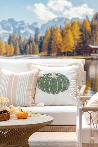 Miniatura 2 de Hofdeco Premium Funda de almohada otoñal para patio interior y exterior, 20 x 20 pulgadas, repelente al agua para patio trasero, sofá, aguamarina