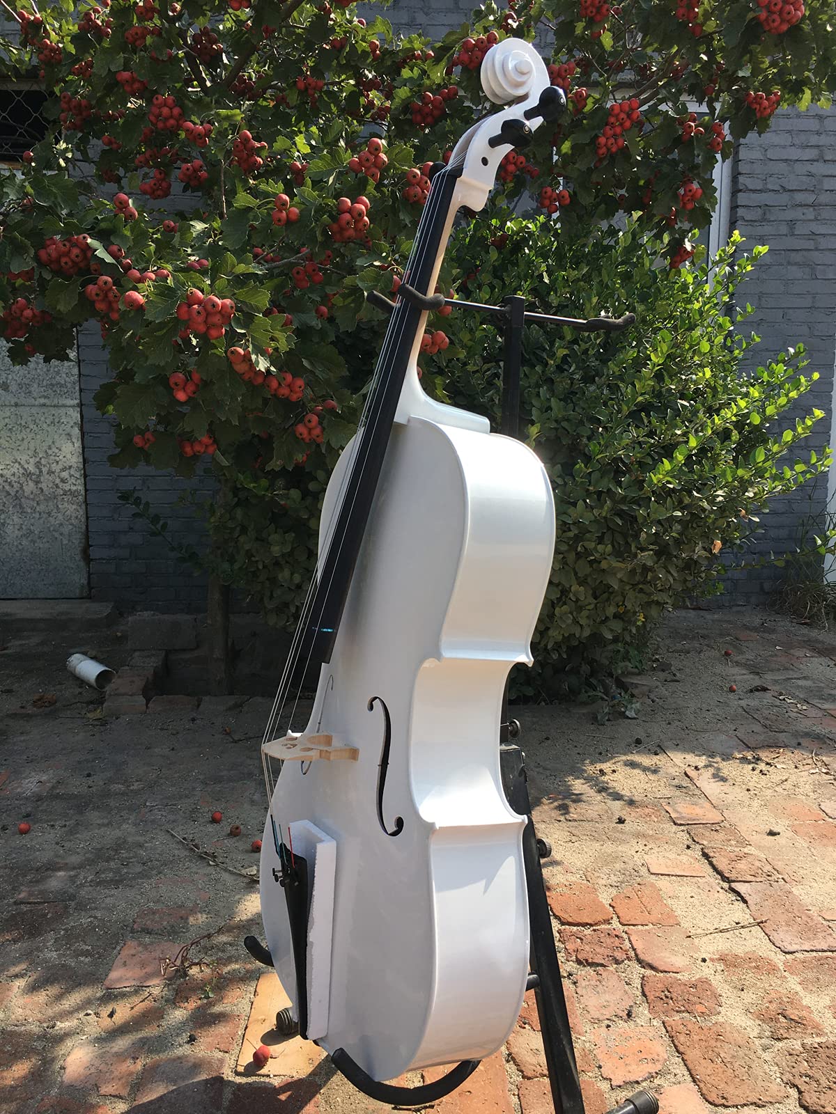 Amazon.com: Yinfente 4/4 cello Full size Solid maple Spruce Wood
