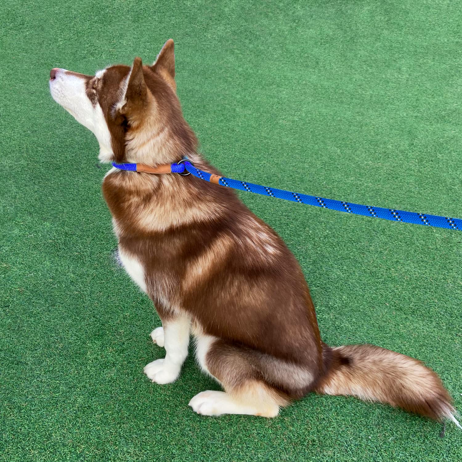 Correa antideslizante de 5 pies para perro, correa de cuerda resistente para perros pequeños, medianos y grandes, correa de entrenamiento sin tirones con hilo reflectante, correa de bucle
