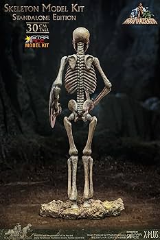 Amazon.com: Ray Harryhausen's Skeleton (Standalone Edition