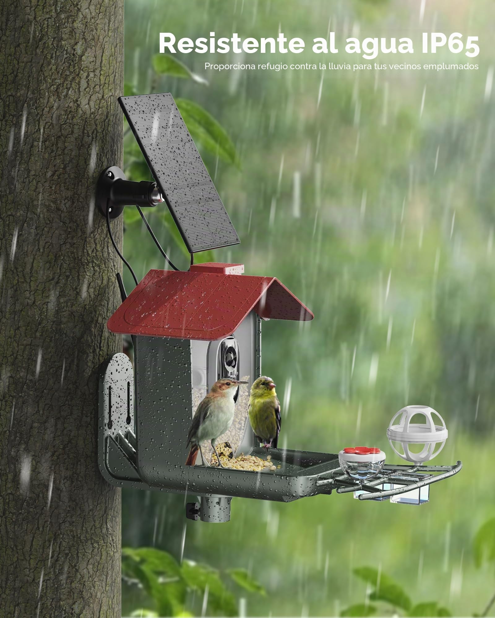 Comedero para pájaros con cámara solar al aire libre: cámara inteligente para jardín exterior, cámara de video en vivo HD 2K, reconocimiento de IA, ventana visible, captura automática, regalos para