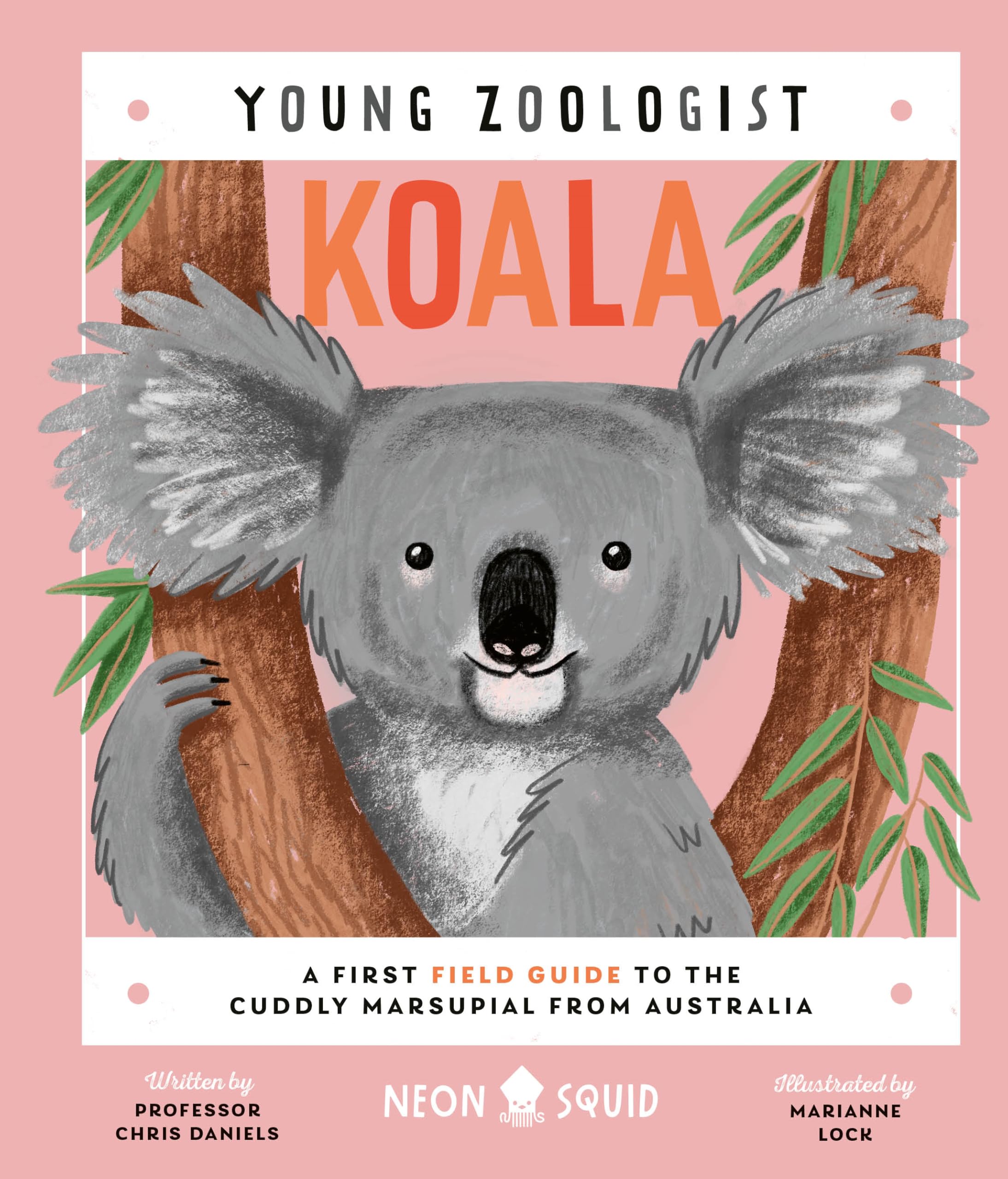 Koala (Young Zoologist): A First Field Guide to the Cuddly