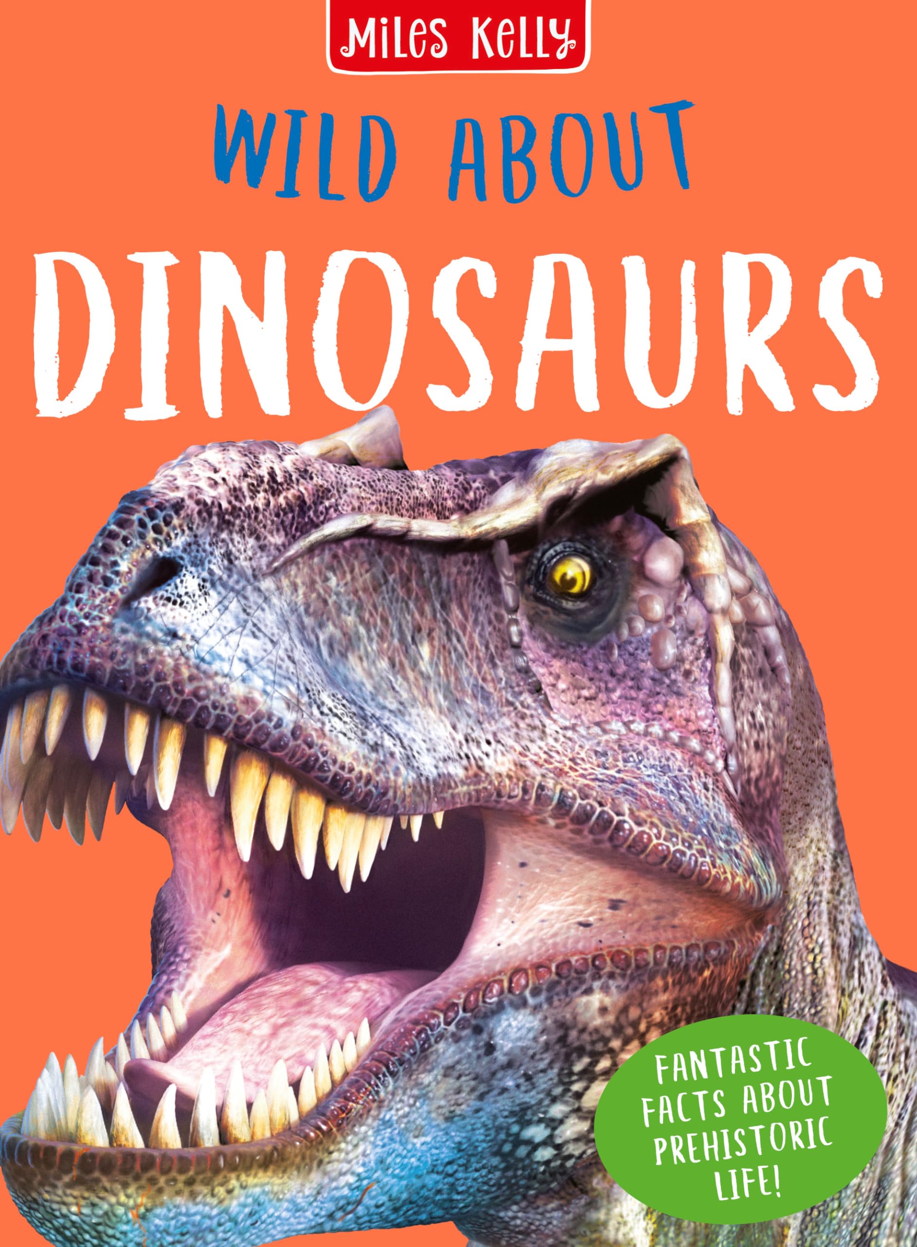 Wild About Dinosaurs : Matthews, Rupert: Amazon.in: Books