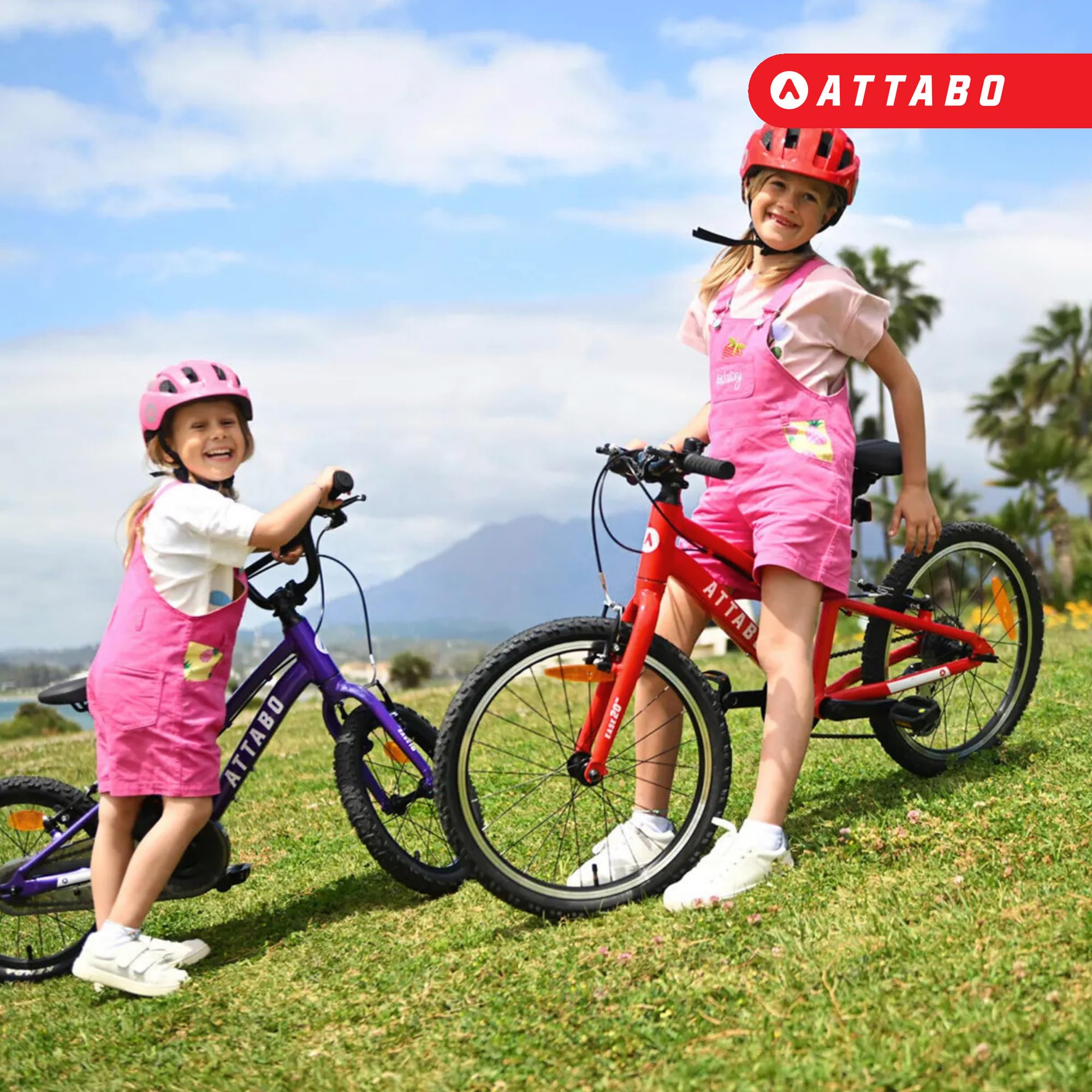 ATTABO Fahrrad Ease 16"" haltbares und ergonomisches Design mit geringem Überhang Ideal für Radfahranfänger Farbe Rot/Blau/Pink/Lila/Silber