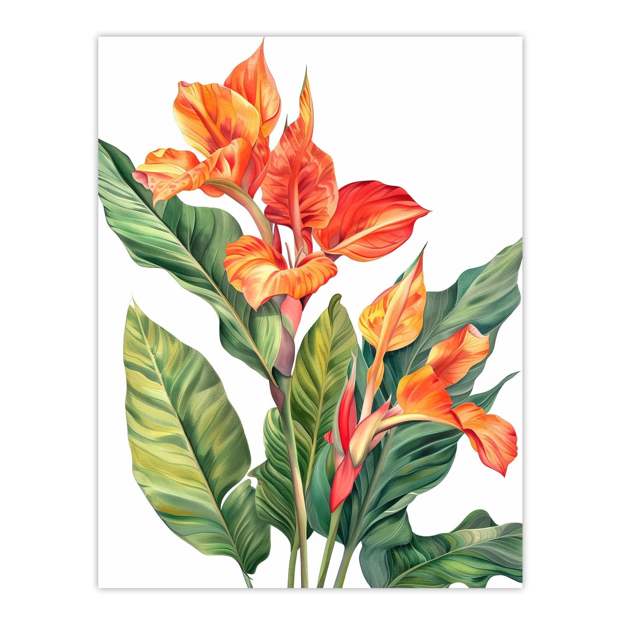Amazon.com: Artery8 Canna Lily Flower Bright Botanical Painting