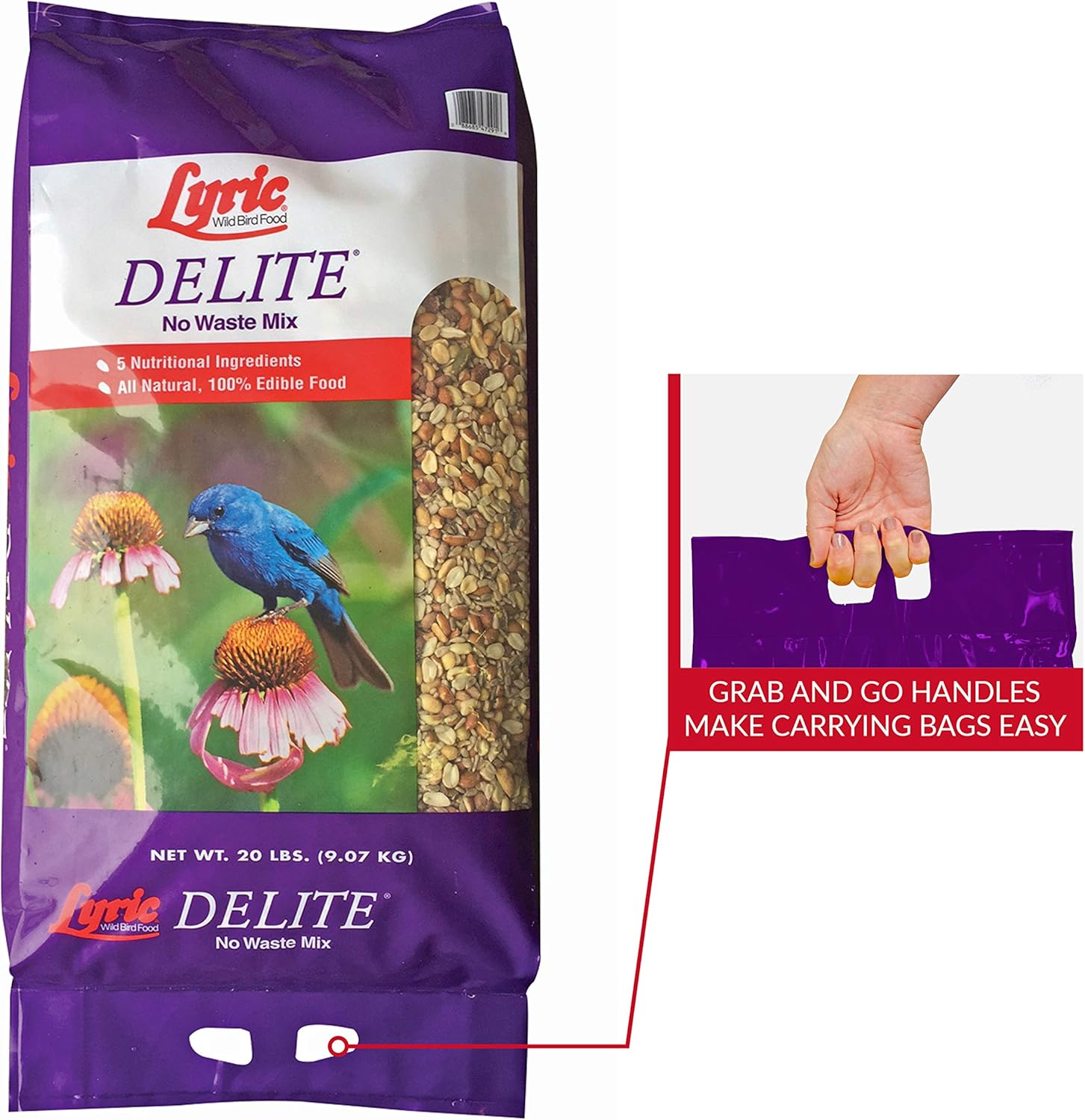 Lyric Delite Wild Bird Seed, No Waste Bird Food Mix with Shell-Free Nuts and Seeds, 20 lb. Bag : Birdbath Accessories : Patio, Lawn & Garden