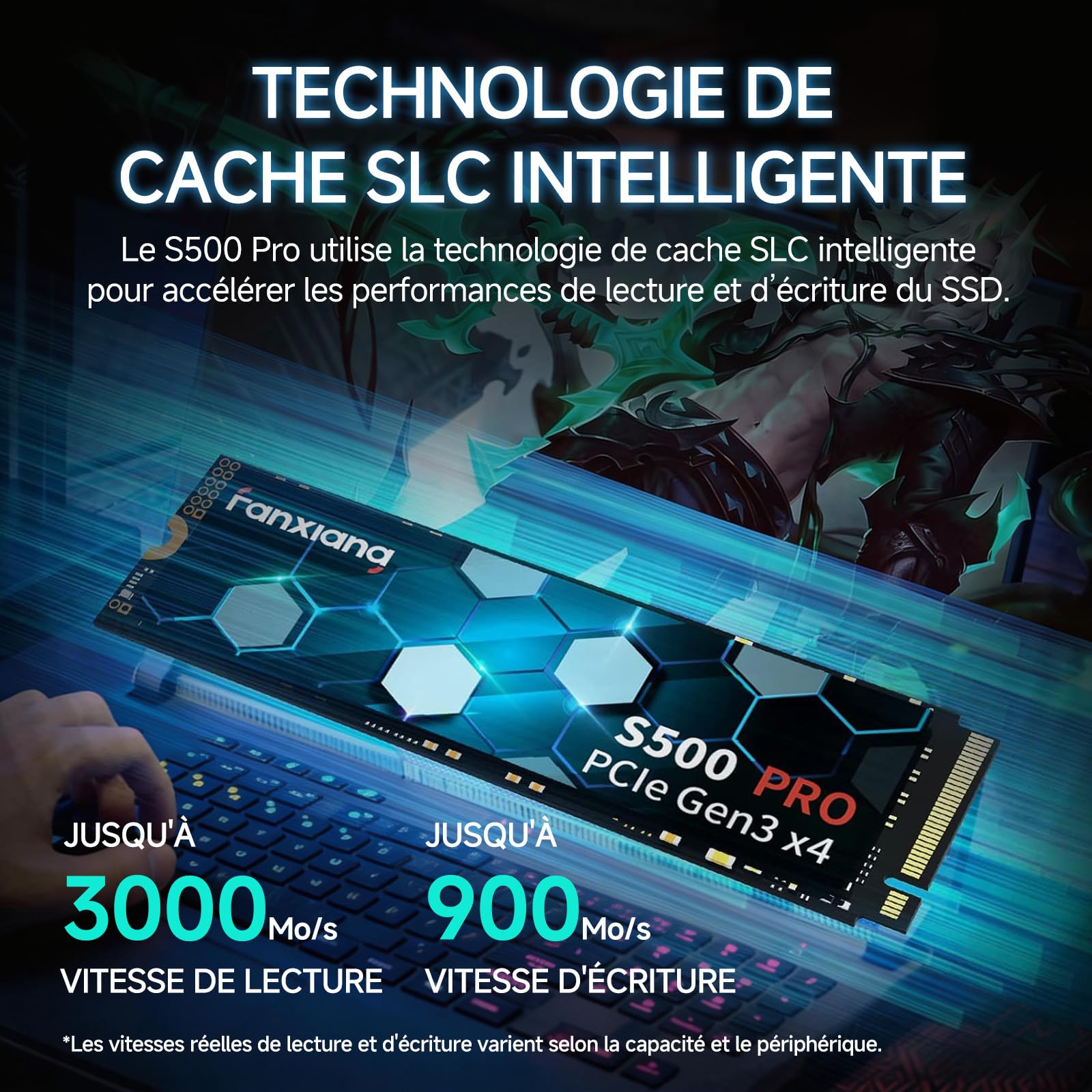 fanxiang SSD NVMe 256Go SSD M.2 PCIe Gen3.0x4 2280 Disque SSD Interne 256Go, Jusqu'à 3000Mo/s en Lecture - Compatible avec Notebook, Desktop, PC(S500Pro)