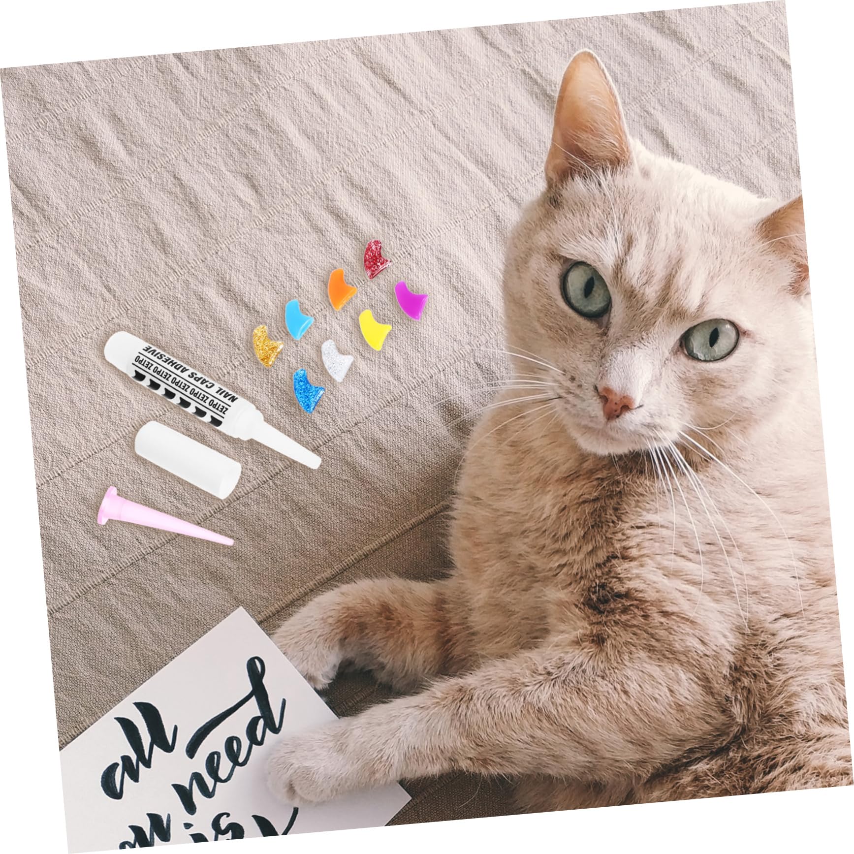 minkissy 480 Pièces Ensemble d'ongles pour Animaux de Compagnie Capsules Ongles Assorti Patte de Chat Jeux de Griffes ongle de Main Gel de silice