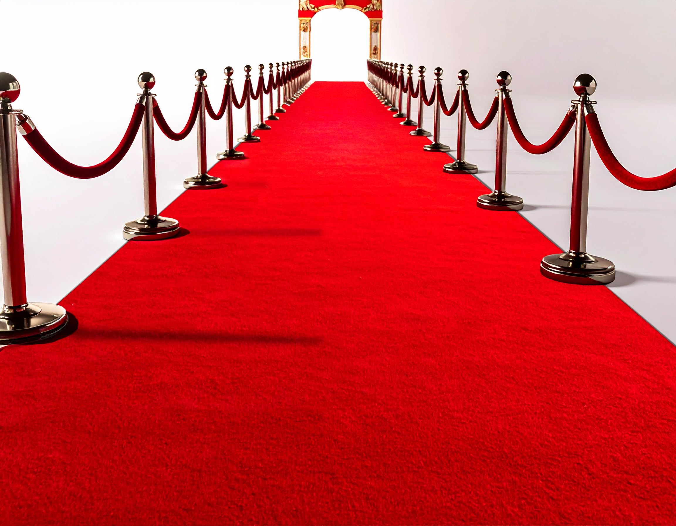 Amazon.com: Extra Thick 3x10Ft Red Carpet Runner for Party, Non