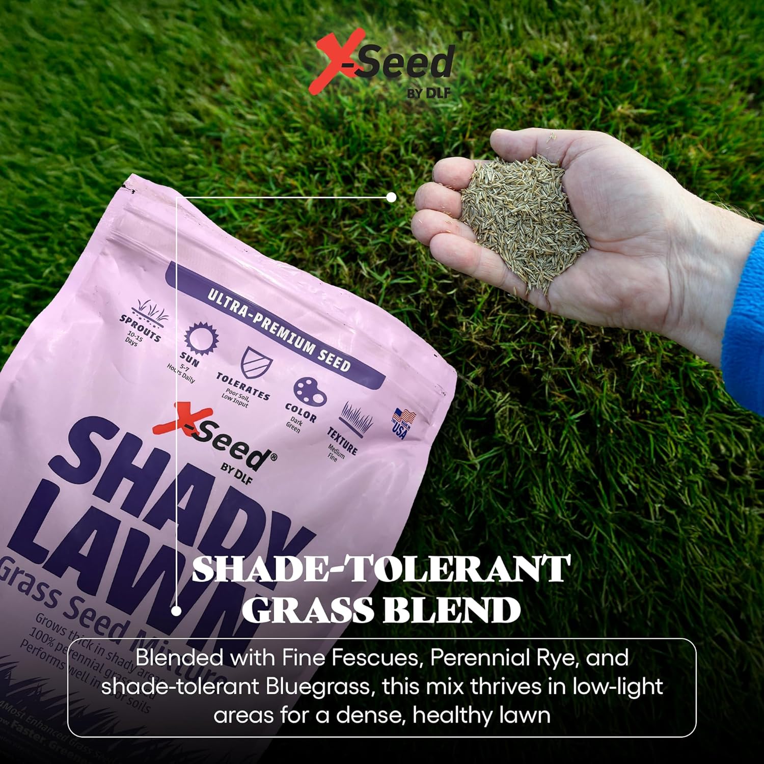 X-Seed Ultra Premium Shady Lawn Grass Seed Blend – Heavy Shade Grass Seed Mixture – Grows Thick in Shady Areas, Performs Well in Poor Soils, Requires Less Fertilizer and Water – 7 lbs.