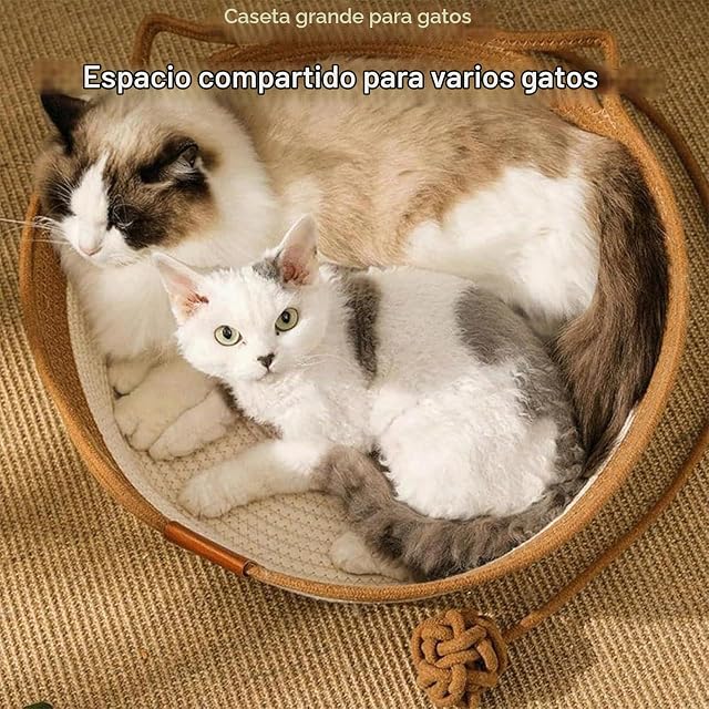 Foto 4 de 7 de Vgpbphj Stimulicat - Cama para gatos, cesta tejida a mano StimuliCat, cestas de juguete para gatos…