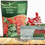 Salvia Coccinea Scarlet Sage Seeds for Planting - 5000 Pcs Perennial, Heat-Tolerant Wildflower Seeds w/Red Blooms, Attracts Hummingbirds & Butterflies for Pollinator-Friendly Gardens