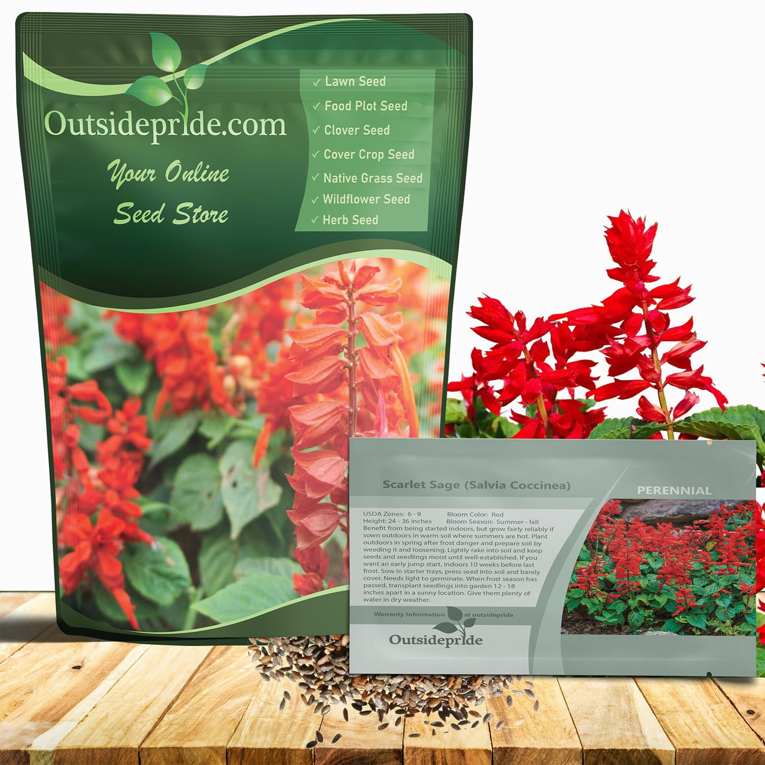 Outsidepride Salvia Coccinea Scarlet Sage Seeds for Planting - 5000 Pcs Perennial, Heat-Tolerant Wildflower Seeds w/Red Blooms, Attracts Hummingbirds