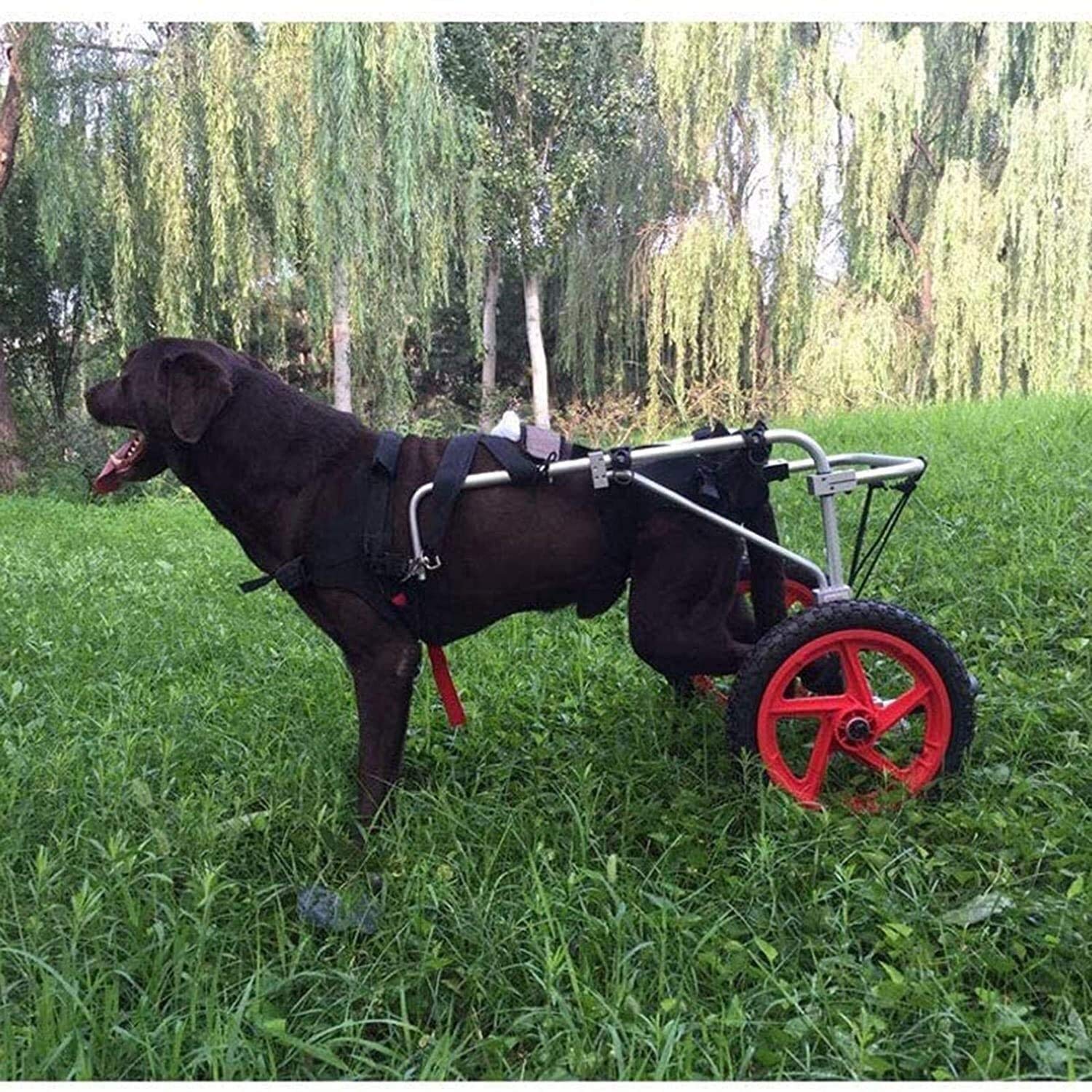 Verstellbarer Hunderollstuhl, Hinterbeinrehabilitation, unterstütztes Gehauto, Haustier-Hinterbein-Trainingsauto für behinderte kleine Hunde, Hündchen, Welpen, 2 Räder, geeignet für alle großen