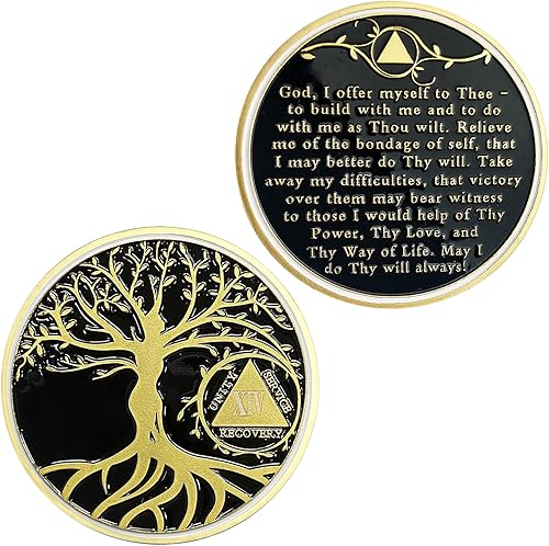 Miniatura 7 de Chip de sobriedad del árbol de la vida de 6 años, chips AA y medallones  Moneda de recuperación de sobriedad  Regalos de sobriedad para celebrar la