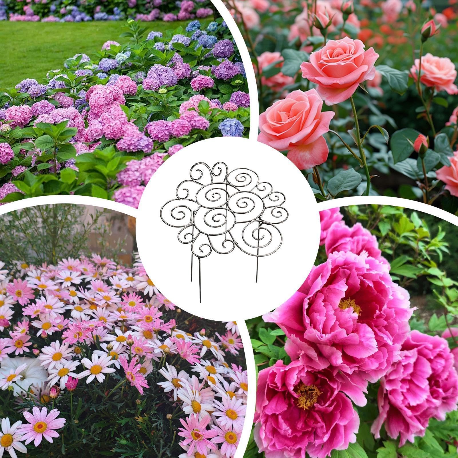 Tuteur pour Pivoines Lot de 2 Supports Réglables Robustes en Métal