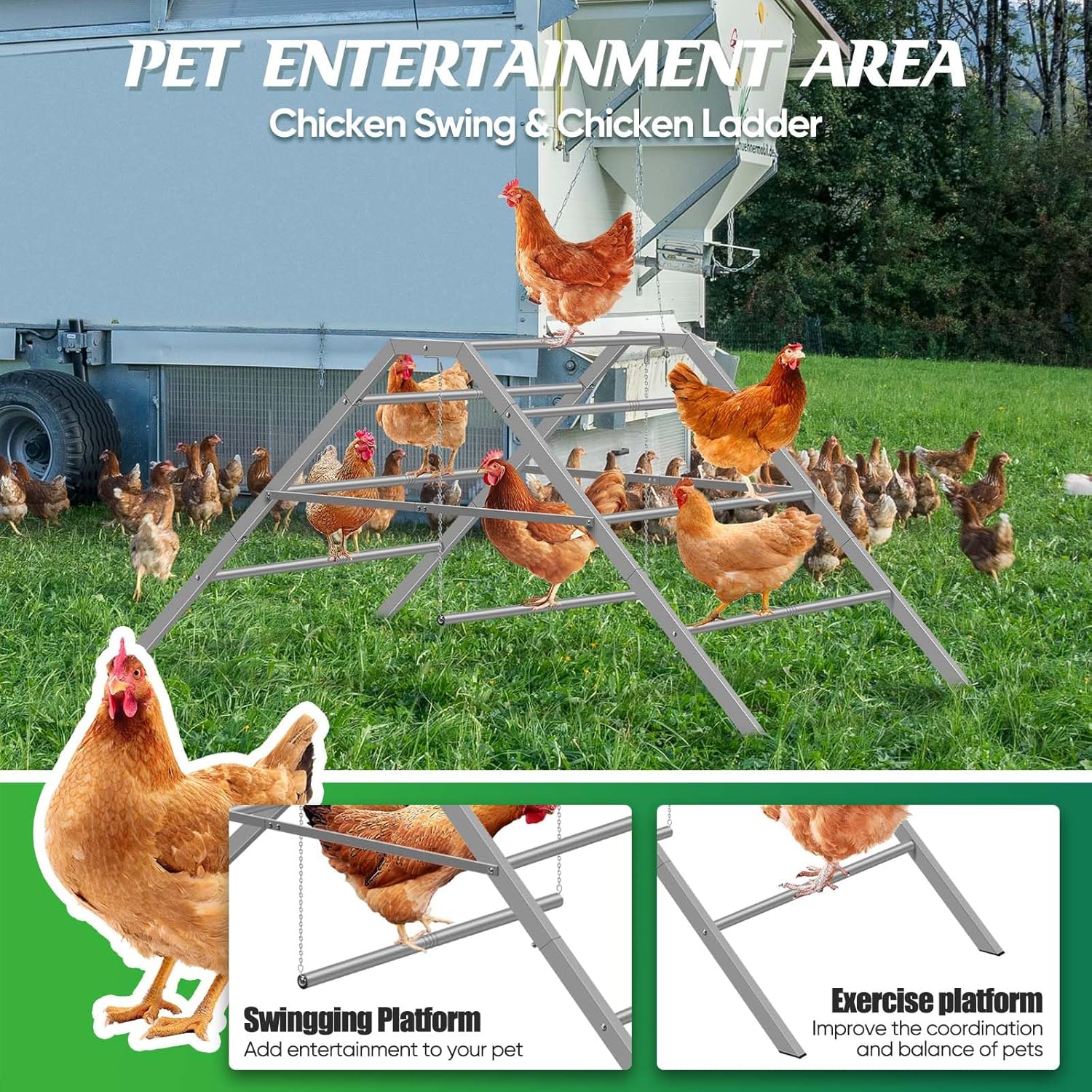 Chicken Coop Perches with Swing, Roosting Bars for Chickens in Coop, Chicken Run Accessories Toy, Ladder for Pet's Healthy & Happy, Sturdy & Easy to Clean, Suitable for Backyard Farm 60.6*32.7*28.4 in