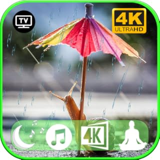 ☔ Rainy Sounds With Snails Rain Sounds to Sleep, Study, Relax, Nature Rain Screensaver - NO ADS