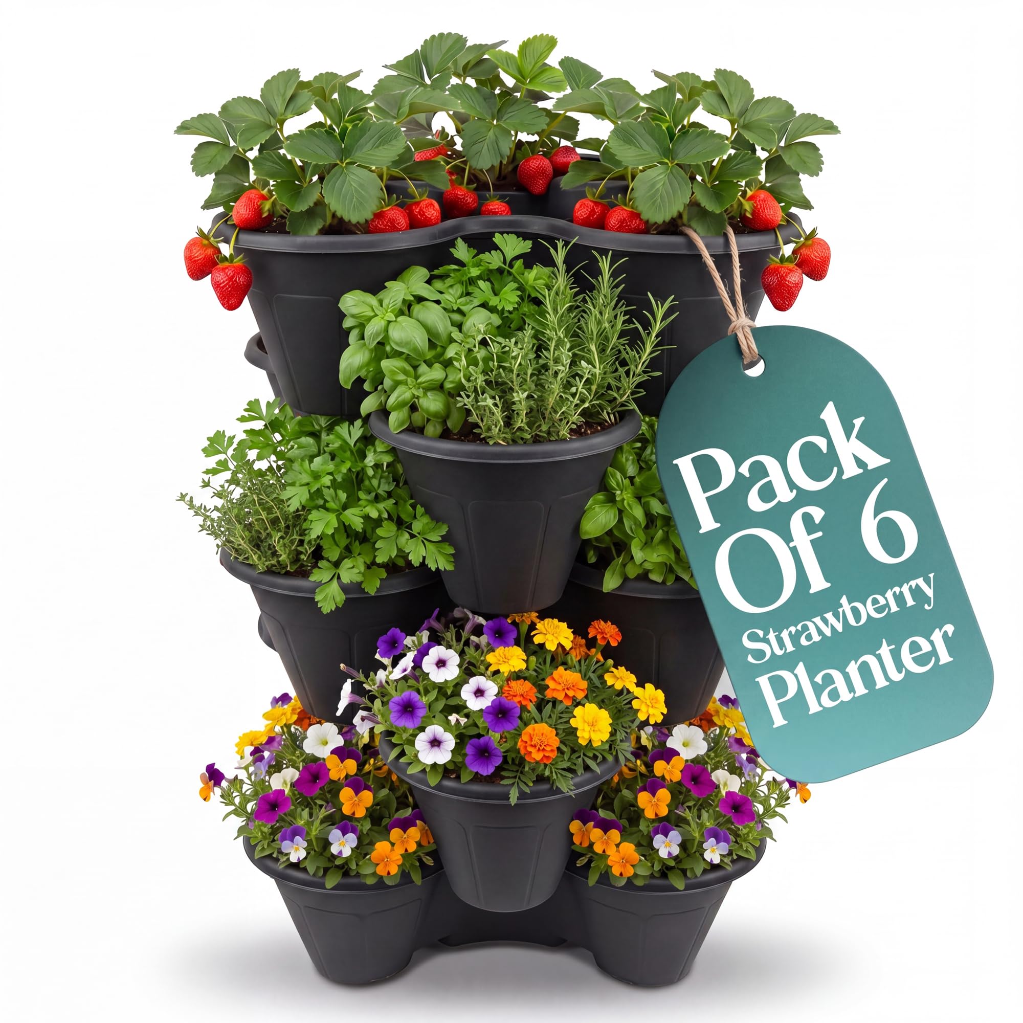 Klass Home Collection Stackable Strawberry Planter Tower Pack of 6, Vertical Garden Planters outdoor & Indoor for Balcony, Patio, Plant Pots for Flowers, Vegetables Herb Garden Planter (Black)