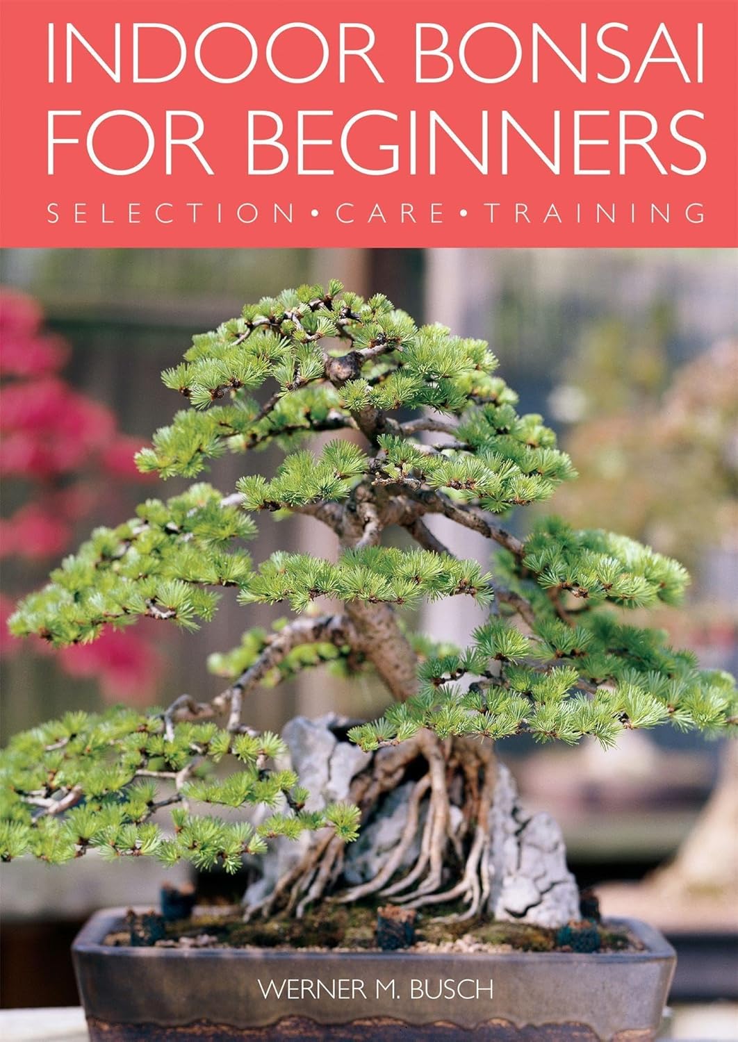 Indoor Bonsai for Beginners Selection Care Training Busch, Werner 9781844033508 Books
