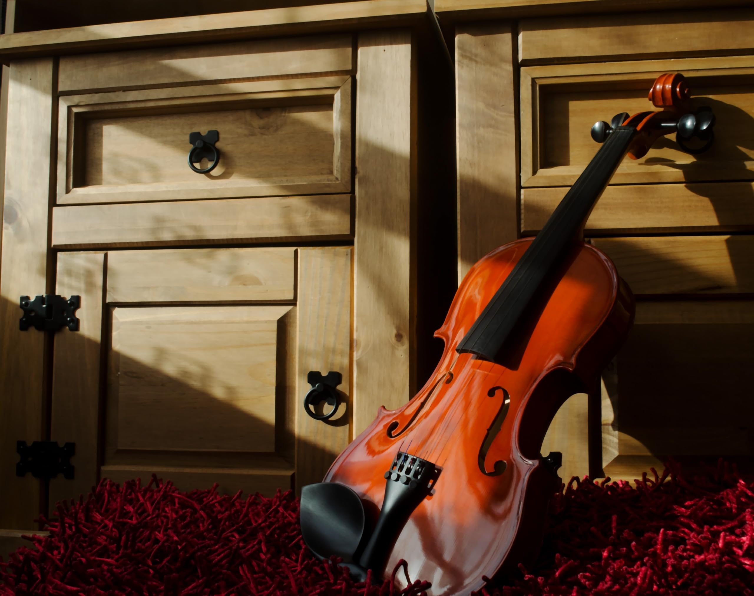 Violino 4/4 ffalstaff Laminato con Spalliera e Kit Cancelleria