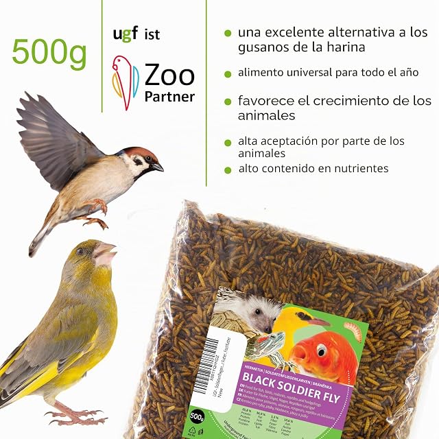 Foto 2 de 7 de UGF - Larvas de mosca de soldado Hermetia - Mejor que los gusanos secos de la harina (500 g)