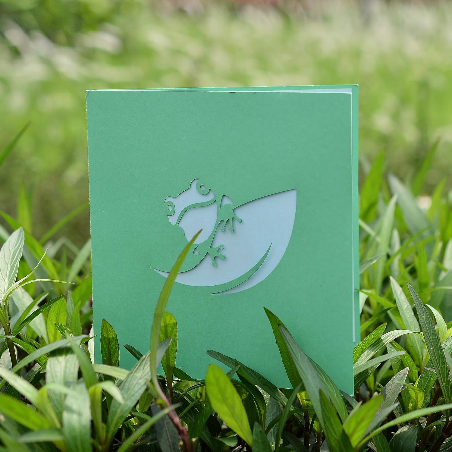 CUTPOPUP Birthday Card Pop Up, 3D Greeting Card (Frog) - view 2