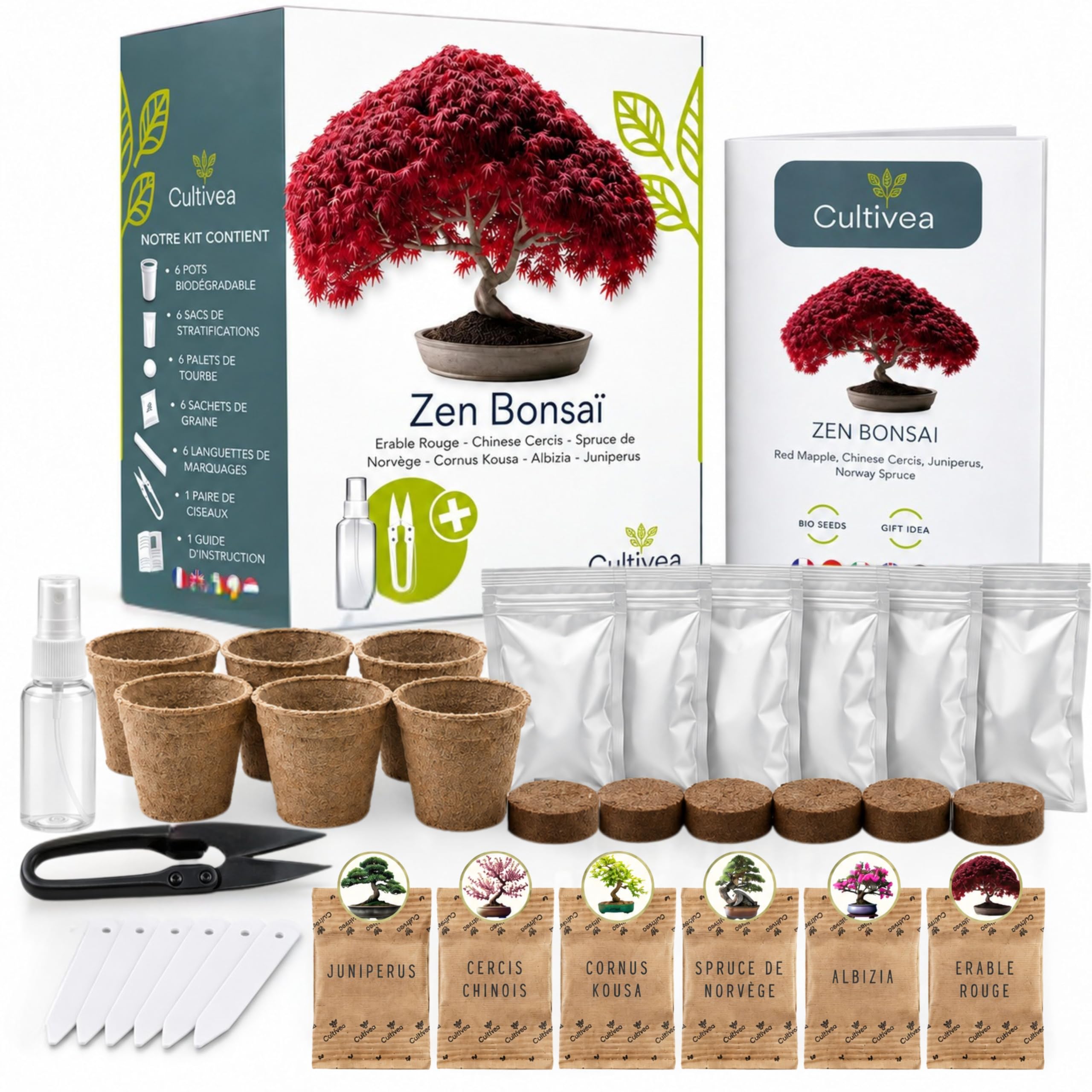CULTIVEA® Kit de 6 Bonsái para cultivar – Jardín – Idea de regalo (Arce rojo, Cercis chino, Albizia, Cornejo kousa, Abeto de Noruega)