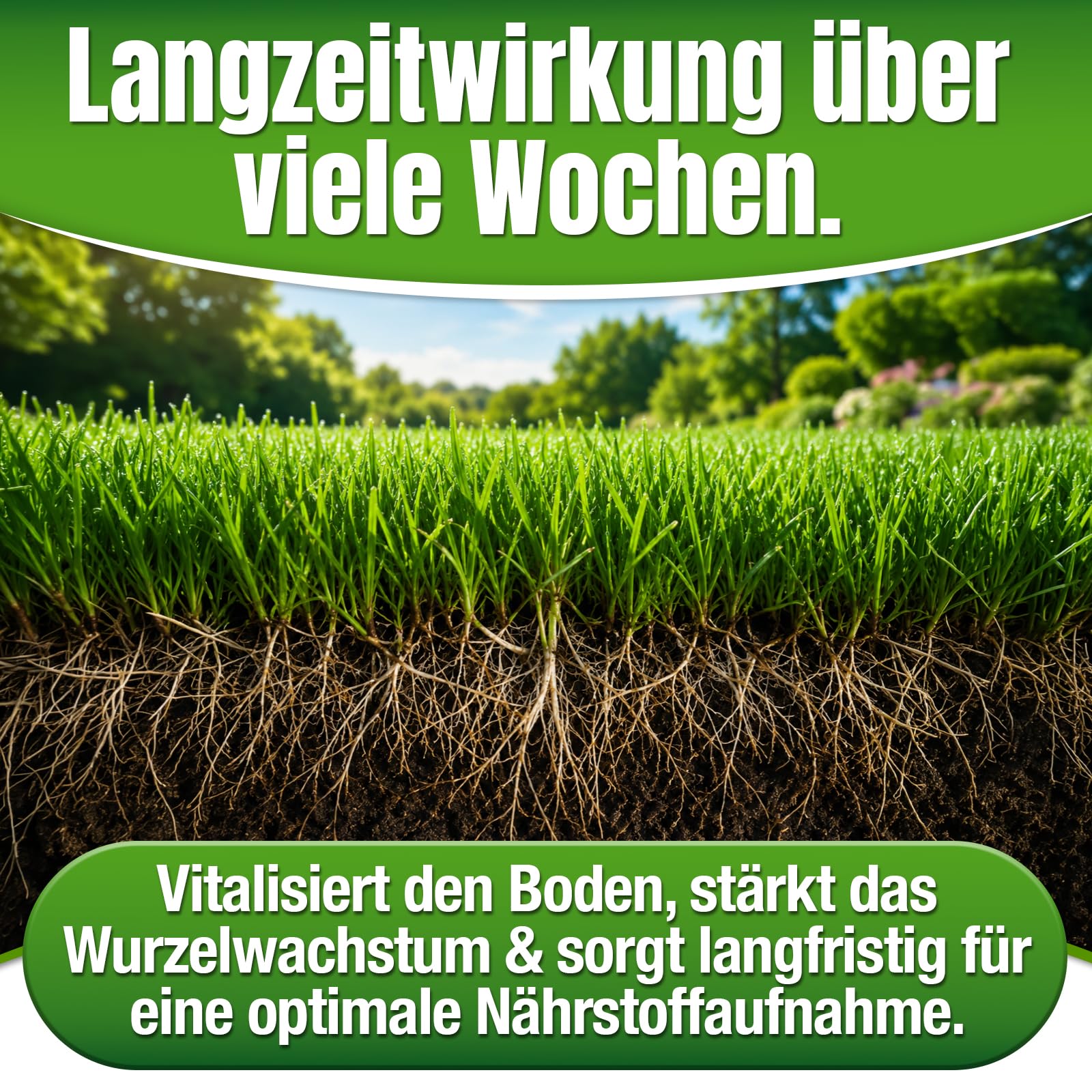 Bio Rasendünger Natur Aktiv - schneller Humusaufbau, starke Langzeitwirkung, aktiviert müde und ausgelaugte Böden, heilt Rasenlücken, kein Rasenfilz - Premium Rasen Dünger (30,3kg)