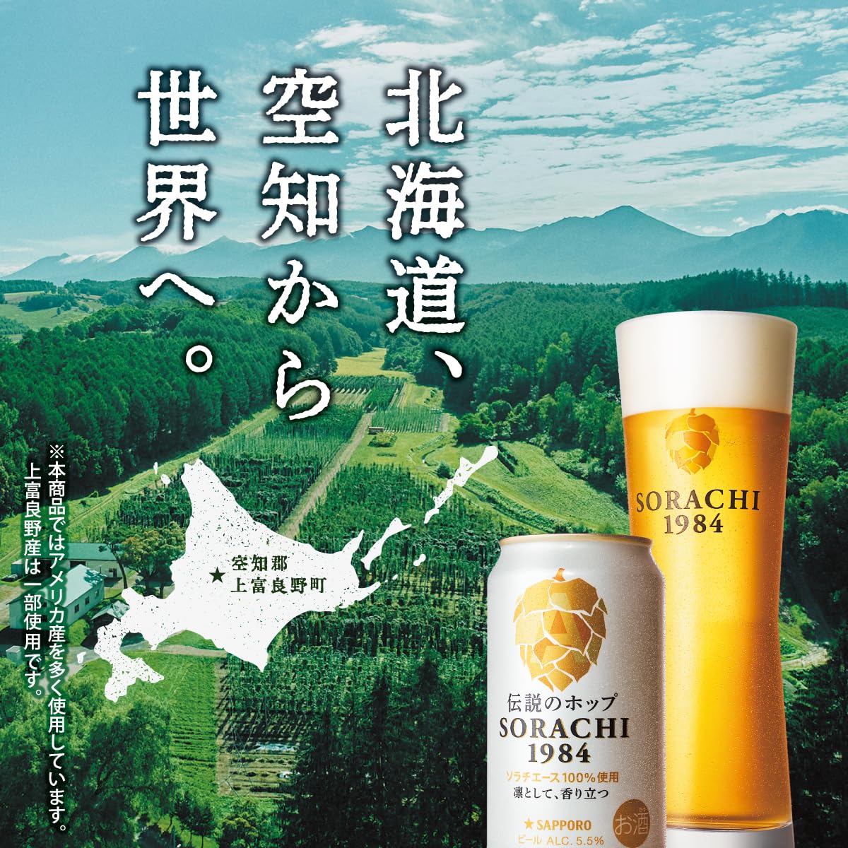 Amazon.co.jp: SAPPORO SORACHI1984 [ 日本 350ml×12本 ] : 食品・飲料