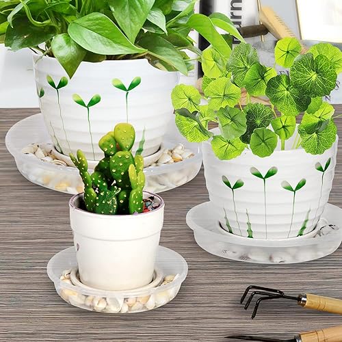 Miniatura 6 de Platillos para plantas de 6 pulgadas, bandejas de plástico resistentes para goteo de plantas, platillos de maceta transparente duradero, bandeja