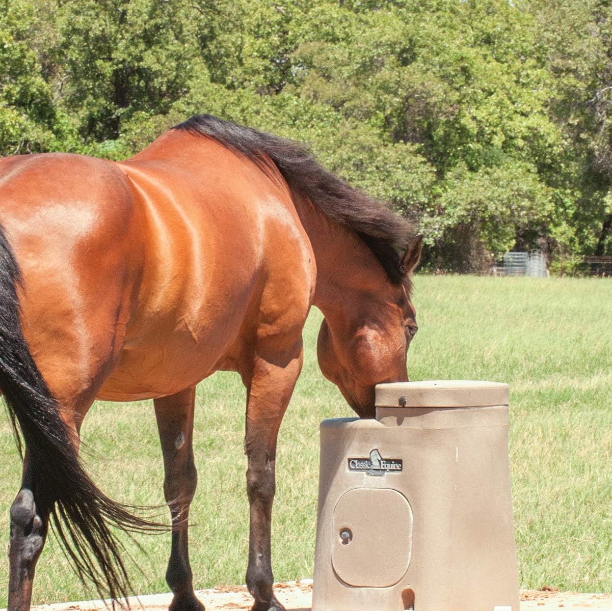 Classic Equine by Ritchie Auto Fount Single Insulated Automatic Waterer