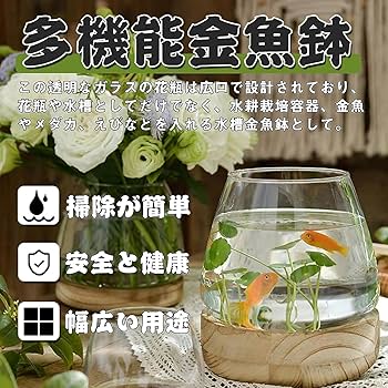 木製 円形金魚鉢 中型 人工水草付き Amazon | 金魚鉢 ガラス 丸 金魚 透明 小さな魚の水槽 丸型