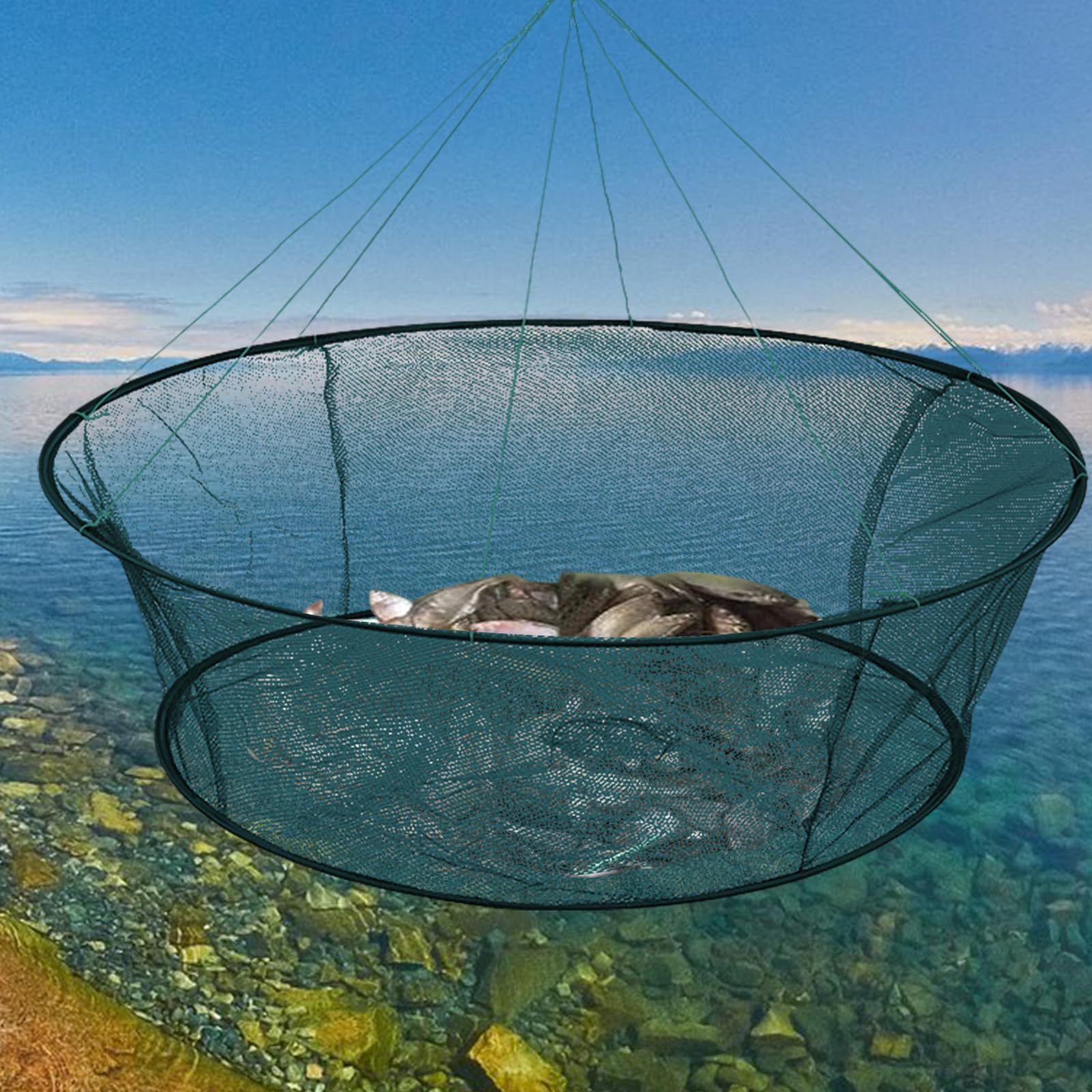 Red De Pesca Plegable Extensible, Red De Pesca De Mano Fundida Con Cuerda, Cebo De Red, Red Telescópica Para Peces, Camarones, Cangrejos
